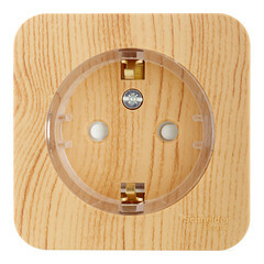 Розетка Systeme Electric Blanca накладная ясень со шторками компакт (BLNRA111115) - фото 1