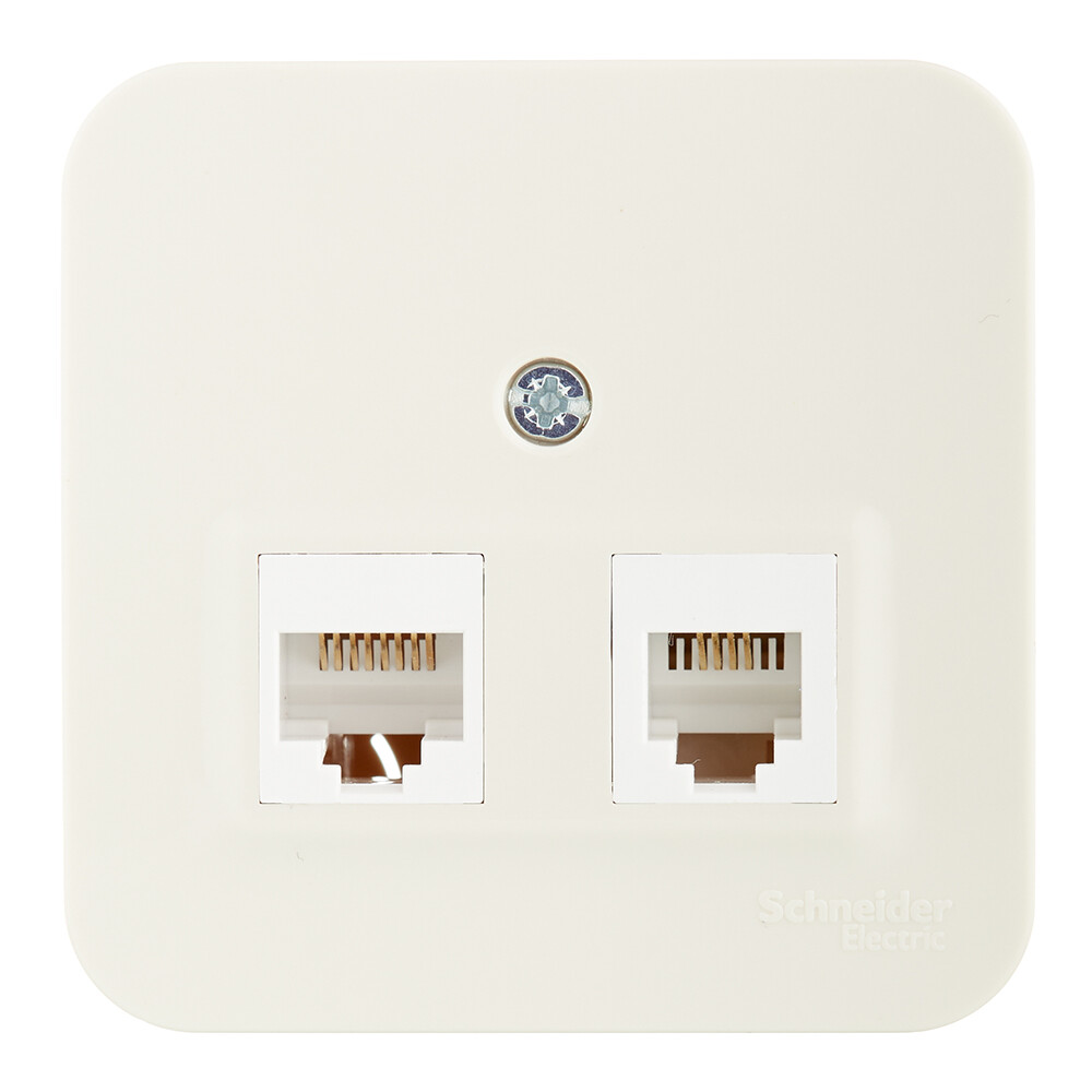 Изображение товара Розетка компьютерная Systeme Electric Blanca накладная бежевая 2хRJ45 (BLNIA045457)