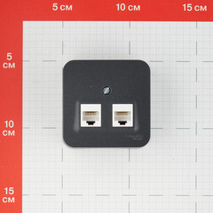 Розетка компьютерная Systeme Electric Blanca накладная антрацит 2хRJ45 (BLNIA045456) - фото 3