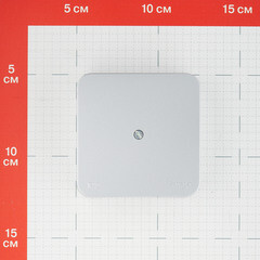 Коробка распределительная Systeme Electric Blanca накладная алюминий (BLNRK000013) - фото 4