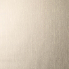 Обои вспененный винил на флизелиновой основе Elysium Шпалеры Е54241 (1,06х10,05 м) - фото 4