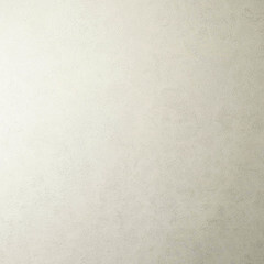 Обои компакт-винил на флизелиновой основе Elysium Гранж фон Е800100 (1,06х10,05 м) - фото 3