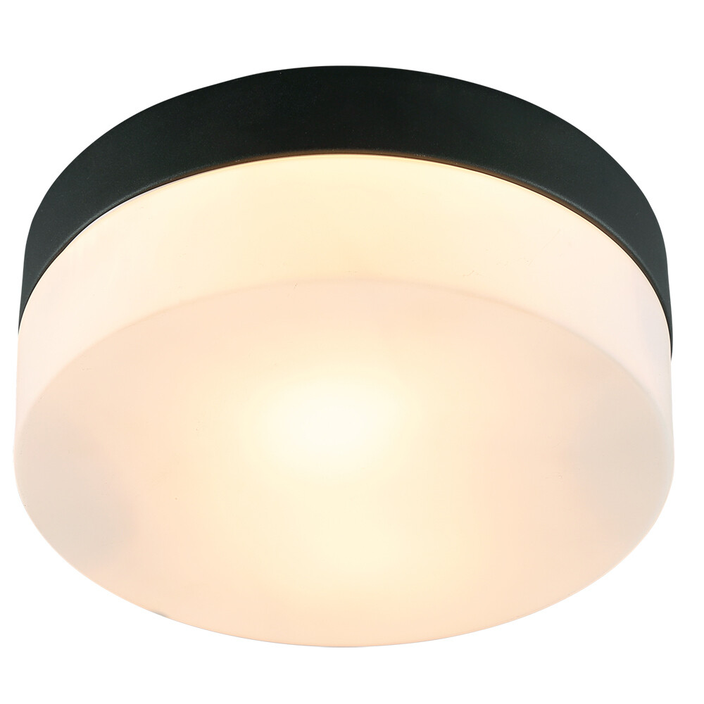 Изображение товара Светильник Arte Lamp Aqua-Tablet 60 Вт IP44 (A6047PL-1BK)