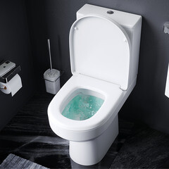 Унитаз-компакт AM.PM Spirit V2.0 FlashClean безободковый с горизонтальным выпуском без сиденья белый (C708600WH) - фото 8