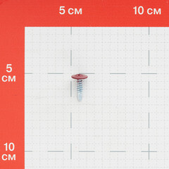 Саморезы клопы 16x4,2 мм с буром Daxmer (20 шт.) красный RAL 3005 - фото 2