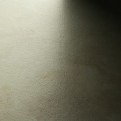 Керамогранит Cersanit Cameo бежевый 598х297х7,5 мм (10 шт.=1,776 кв.м) - фото 7