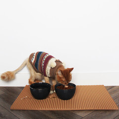 Коврик универсальный Еvaline ЭВА Соты 120х80 см песочный - фото 4