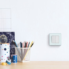 Выключатель Legrand Inspiria двухклавишный встраиваемый белый (673620) - фото 10