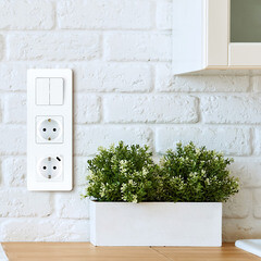 Розетка Legrand Inspiria встраиваемая белая с USB Type-C (673770) - фото 2