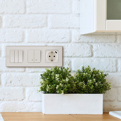 Розетка Legrand Inspiria встраиваемая слоновая кость с USB Type-C (673771) - фото 5