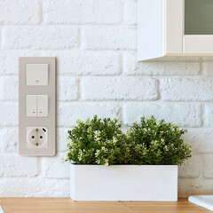 Розетка Legrand Inspiria встраиваемая слоновая кость с USB Type-C (673771) - фото 6