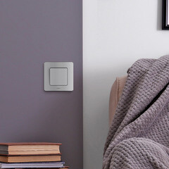 Выключатель Legrand Inspiria одноклавишный встраиваемый алюминий (673602) - фото 2