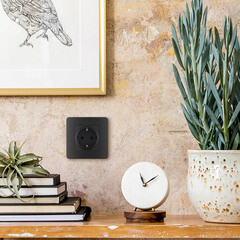 Розетка Legrand Inspiria встраиваемая антрацит (673723) - фото 5