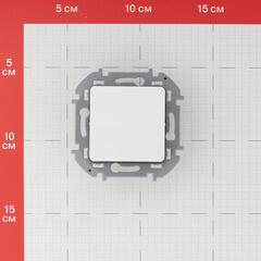 Переключатель Legrand Inspiria одноклавишный встраиваемый белый (673650) - фото 2