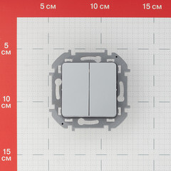 Выключатель Legrand Inspiria двухклавишный встраиваемый алюминий (673622) - фото 2