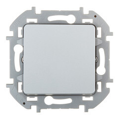 Изображение товара Переключатель Legrand Inspiria одноклавишный встраиваемый алюминий (673582)