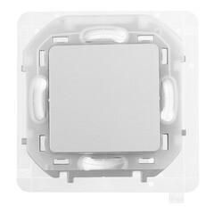 Изображение товара Переключатель Legrand Inspiria одноклавишный встраиваемый алюминий (673672)