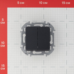 Выключатель Legrand Inspiria двухклавишный встраиваемый антрацит (673623) - фото 3