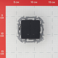 Выключатель Legrand Inspiria двухклавишный встраиваемый антрацит с подсветкой (673633) - фото 2