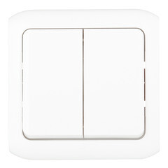 Изображение товара Выключатель Legrand Quteo двухклавишный накладной белый (782302)