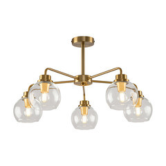 Изображение товара Люстра потолочная Freya Neptune E14 300 Вт 20 кв.м (FR5176PL-05BS)