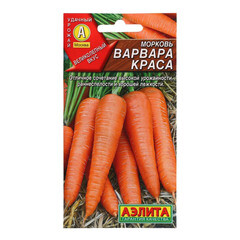 Морковь Варвара краса ц/п