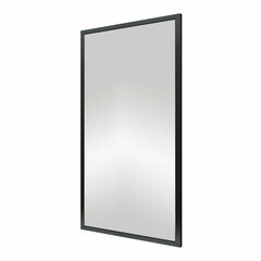Зеркало настенное Gaspar 550х1100 мм черное