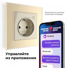 Умная розетка Werkel Minimir Home (W1171603) скрытая установка слоновая кость с заземлением - фото 7