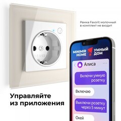 Умная розетка Werkel Minimir Home (W1171601) скрытая установка белая с заземлением - фото 4