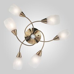 Люстра потолочная Eurosvet Virginia E27 60 Вт 29 кв.м (00000055493) - фото 6