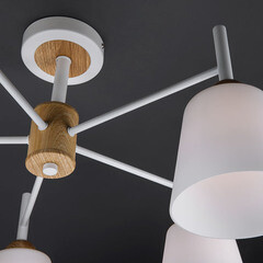 Люстра потолочная Eurosvet Fresco E27 60 Вт 24 кв.м (70085/5) - фото 3