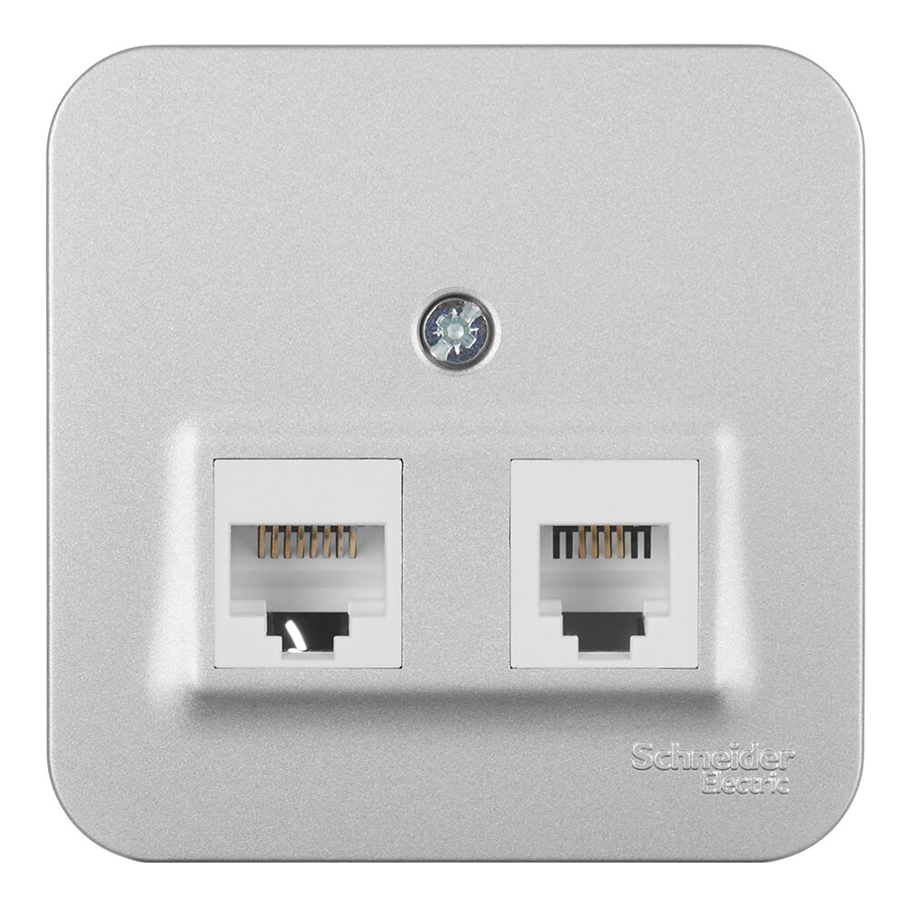 Изображение товара Розетка компьютерная и телефонная Systeme Electric Blanca RJ11 RJ45 накладная алюминий