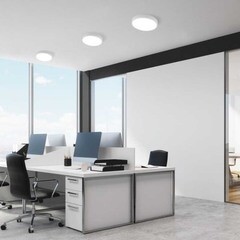 Светильник светодиодный Elektrostandard DLR034 4200К 24 Вт белый IP20 (a043016) - фото 4