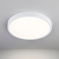 Светильник светодиодный Elektrostandard DLR034 4200К 24 Вт белый IP20 (a043016) - фото 3