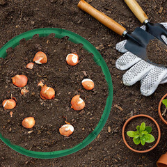 Корзина для луковичных круглая 300х75 мм - фото 2