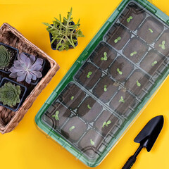 Мини-парник 18 ячеек 210х440х80 мм - фото 4