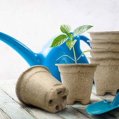 Горшок круглый торфяной 80х80 мм (20 шт.) - фото 2