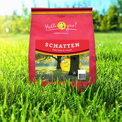 Семена газонной травы Schatten Gras Газон Сити 1 кг - фото 2