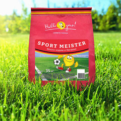 Семена газонной травы Sport Meister Gras Газон Сити 1 кг - фото 2