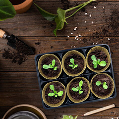 Набор для рассады Газон Сити Цветочный квадратный 6 ячеек с торфяными горшочками 130х180х80мм - фото 2