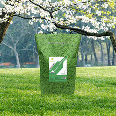 Семена газонной травы Настоящий низкорастущий Газон Сити 10 кг - фото 2