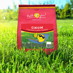 Семена газонной травы Gnom Gras Газон Сити 1 кг - фото 2