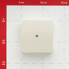 Коробка распределительная Systeme Electric Blanca накладная бежевая (BLNRK000017) - фото 2