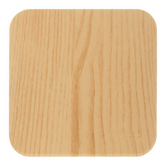 Изображение товара Переключатель Systeme Electric Blanca одноклавишный накладной ясень (BLNVA106015)