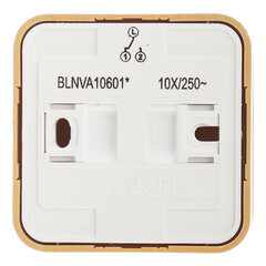 Переключатель Systeme Electric Blanca одноклавишный накладной ясень (BLNVA106015) - фото 4