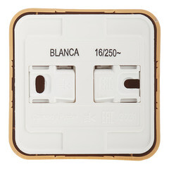 Розетка Systeme Electric Blanca накладная ясень (BLNRA010115) - фото 4