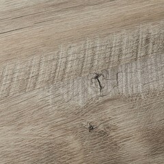 Панель стеновая МДФ для кухни 3000х600х4,5 мм дуб аляска - фото 5