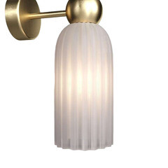 Бра Maytoni Antic E14 80 Вт 220-240 В золото IP20 (MOD302WL-02W) - фото 4