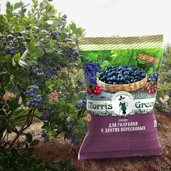 Почвогрунт Morris Green для голубики и других вересковых 65 л - фото 2