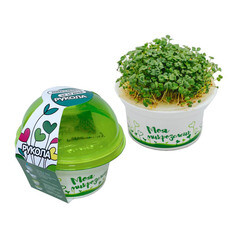 Набор для выращивания микрозелень Рукола Здоровья клад 3 г